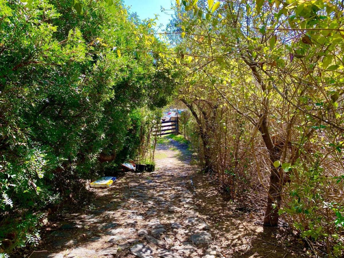 דירות Beachfront House Geremeas Sardegna מראה חיצוני תמונה