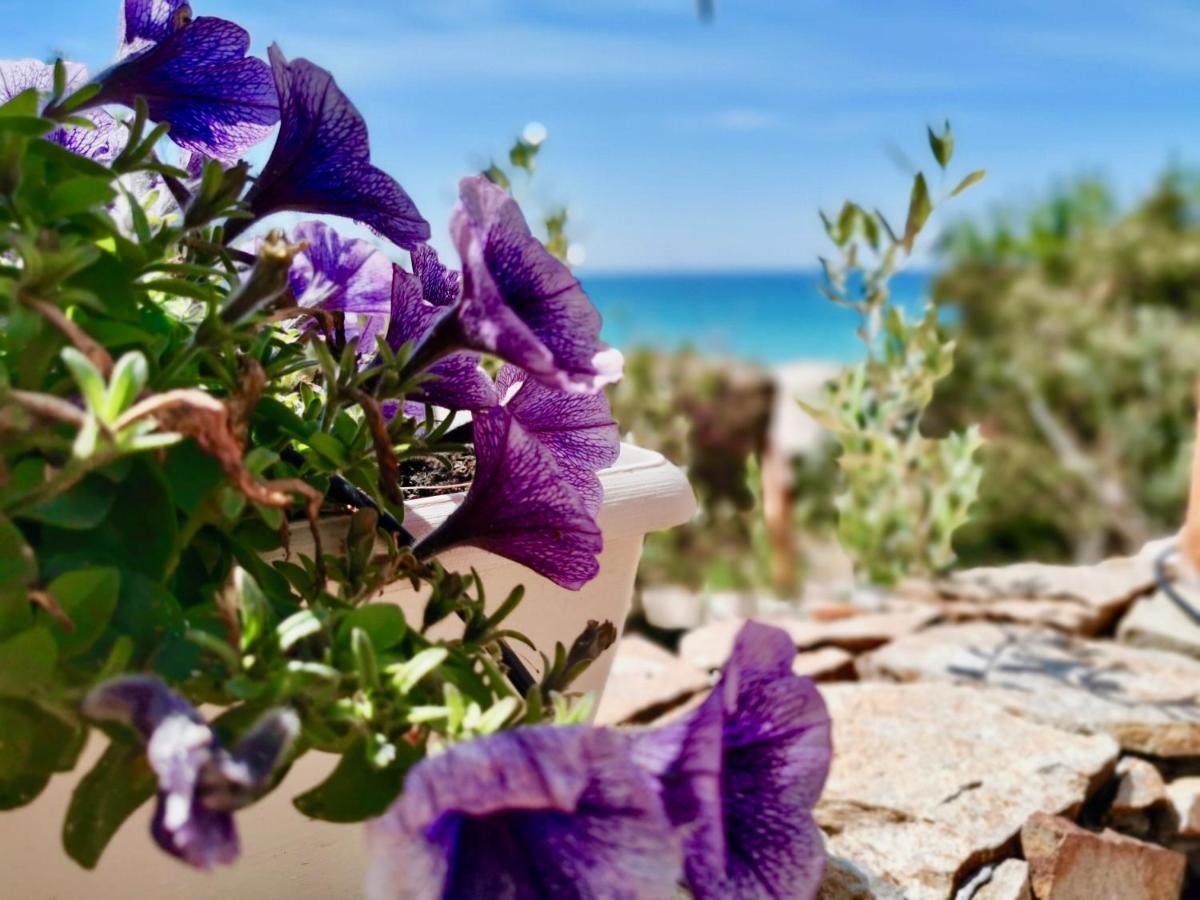 דירות Beachfront House Geremeas Sardegna מראה חיצוני תמונה